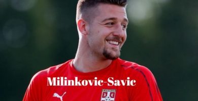 Frases de Milinkovic-Savic
